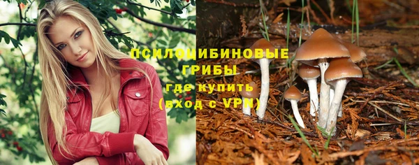 мет Нязепетровск