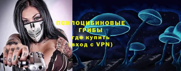 стаф Няндома