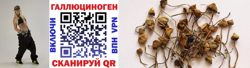 Галлюциногенные грибы GOLDEN TEACHER  купить наркотик  Новотитаровская 